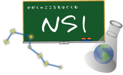 NSI